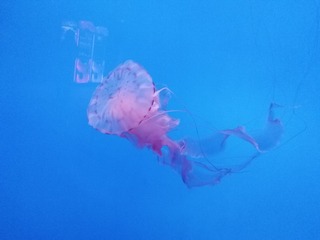 654553