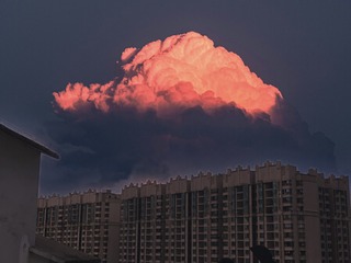 3781574