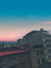 2229589