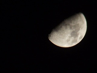 DSCF0303.JPG