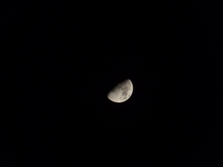 DSCF0298.jpg