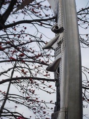 DSCF1815.jpg