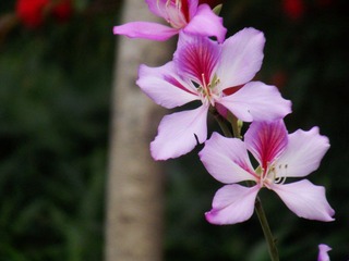 DSCF1794.jpg