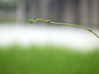 DSCF18111.jpg