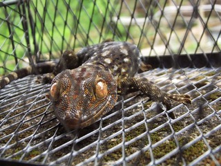 DSCF2547.jpg