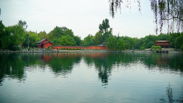 167442