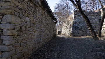 176724