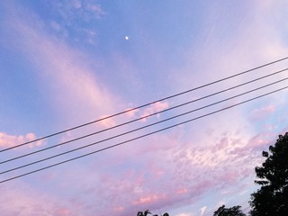961603