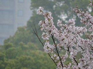 7703276C-D015-4FED-AAD4-6D6CCD3AA895/L0/001