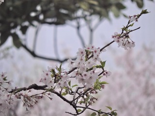 A5433E03-DD84-450F-AD04-B033FEEC65F0/L0/001