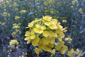 IMAG0275.jpg
