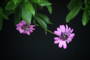 54624D45-E82C-41AE-AE2A-BB32613AB711/L0/001
