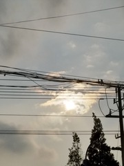557663