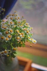 77DD9558-5C2E-45DF-B49C-14051024B4E6/L0/001