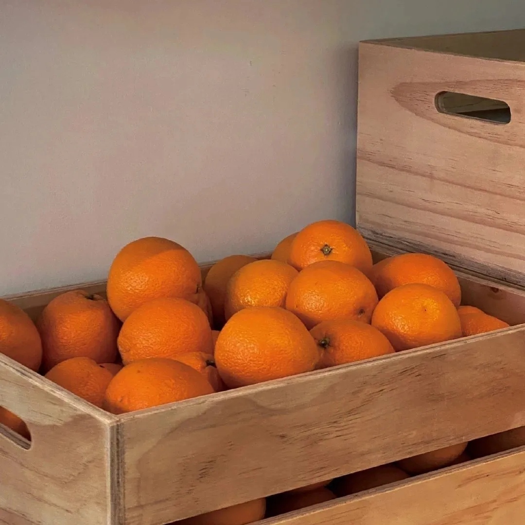 橙色背景图ins高级抱图吱一声