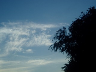 D3003E57-2F8B-4F3D-8A28-1D0F07BB11EA/L0/001