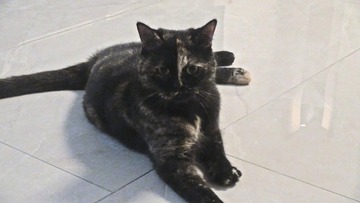 1998141