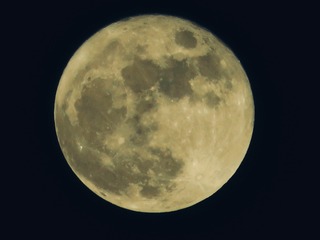 325468ED-BD7D-40D4-88AD-146F75F56847/L0/001