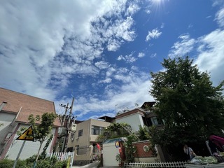 D55769BE-AE59-441F-A091-6C9220E7ABD5/L0/001