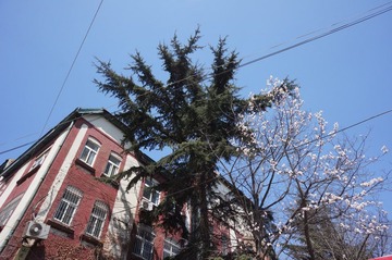 DSC07781.JPG