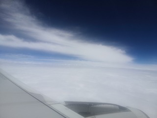4590786