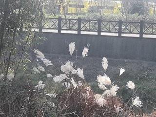4078236