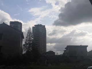 3444610
