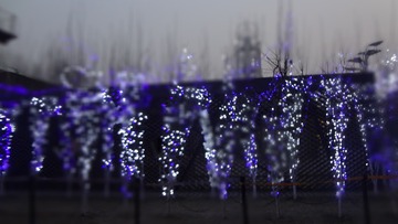 3A5579F2-A0DA-40D9-83E4-72EBDB0F2A38/L0/001
