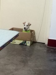25169