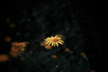 111061