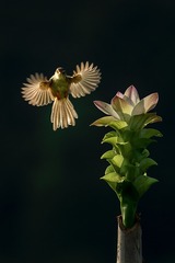 001