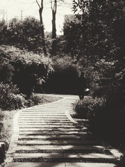 1903598