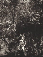 1903590