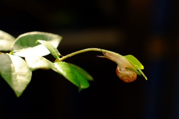 1120965