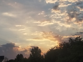 4667611