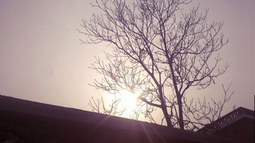 -06_951.jpg