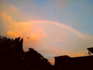 51DDCCE2-E66B-468C-BB4E-408C13BE526A/L0/001