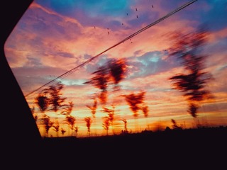 00F098A7-B1AC-4CB3-B671-B7D8600570CB/L0/001