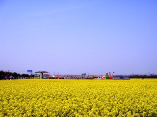 DSC08887.jpg