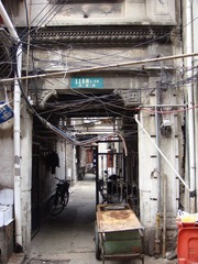 DSC08042.JPG
