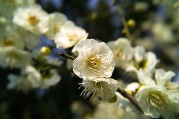 SDIM4347.jpg