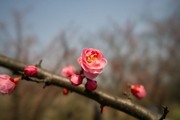 SDIM4321.jpg