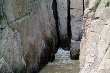 DSC_0317.jpg