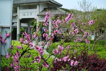 DSC_0287.jpg