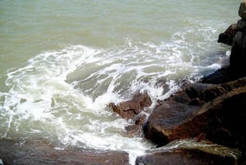 DSC_0295.jpg