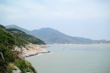 DSC_0305.jpg