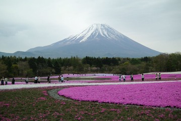 DSC_1567.jpg