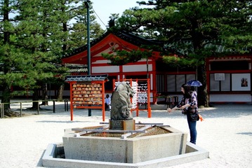 DSC_1297.jpg