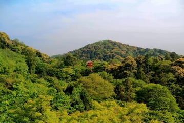 DSC_1363.jpg
