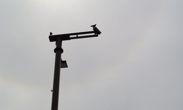 DSC_1479.jpg